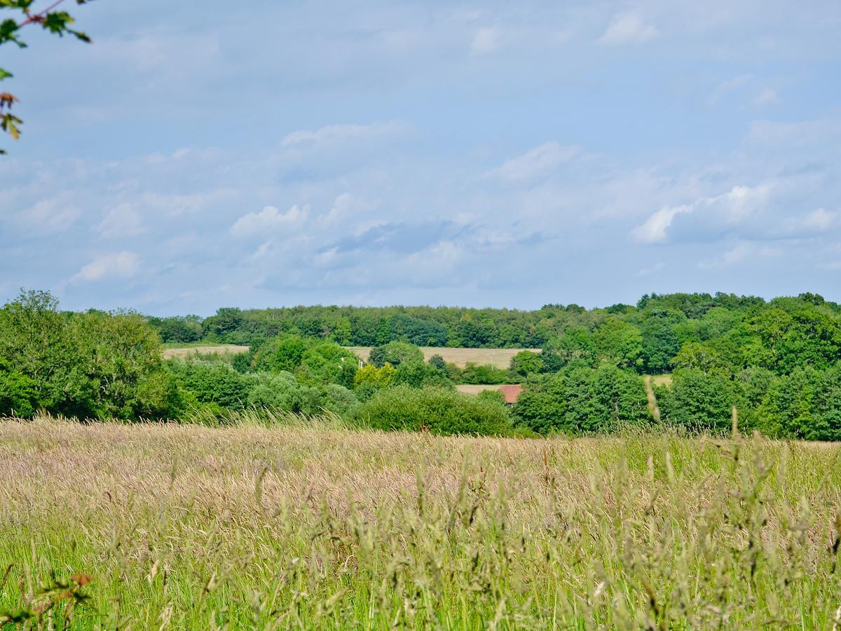 Vila Tiger Horsted Keynes Exteriér fotografie